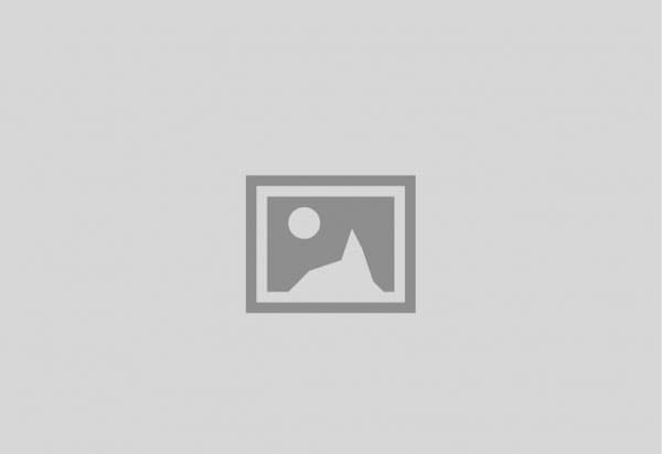 webid_logo_transparant